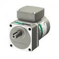AC Motor&Gear Motors